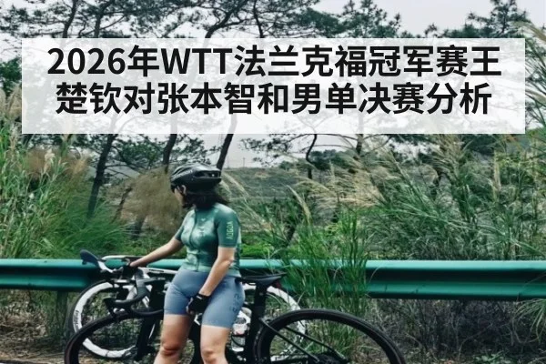2026年WTT法兰克福冠军赛王楚钦对张本智和男单决赛分析